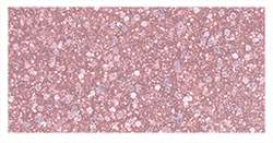 FIMO® Effect Modelliermasse, einzeln, Normalblock, 57 g, Rosé Gold