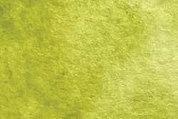 CHARVIN extrafeine Aquarellfarbe, 1/2 Näpfchen, Einzelfarben, Absinthe Green