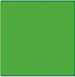 STAEDTLER® triplus® color Fasermaler, Fasermaler 1mm, Gelbgrün