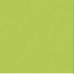 STAEDTLER® triplus® color Fasermaler, Fasermaler 1mm, Limonengrün