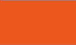 Pentel® Pointliner S40 Fineliner Colour Dye Ink , 0,4 mm, 0.4 mm, Orange