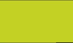 Pentel® Pointliner S40 Fineliner Colour Dye Ink , 0,4 mm, 0.4 mm, Limonengrün