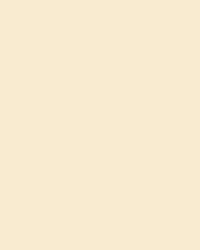 FOLIA® Fotokarton, 300g/qm, 50 x 70 cm, Beige
