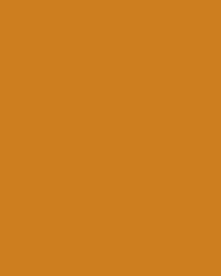 FOLIA® Fotokarton, 300g/qm, 50 x 70 cm, Terracotta