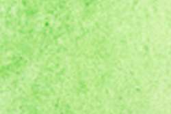 HOLBEIN Aquarellstifte, Permanent Green No. 1