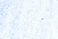 HOLBEIN Aquarellstifte, Lavender