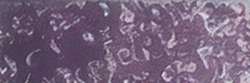 HOLBEIN Künstlerfarbstifte, Raisin