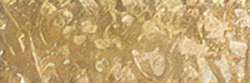 HOLBEIN Künstlerfarbstifte, Olive Brown