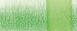 DERWENT Chromaqua Aquarellstift, Jungle Green 1740