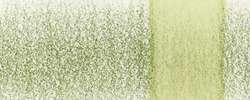 DERWENT Chromaqua Aquarellstift, Olivine 1801