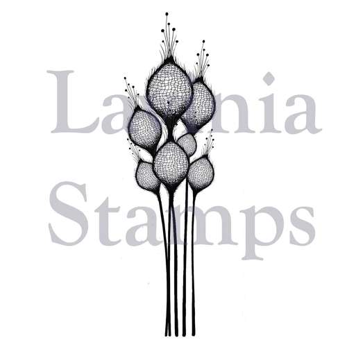 Lavinia Stempel, Feenhafte Disteln 