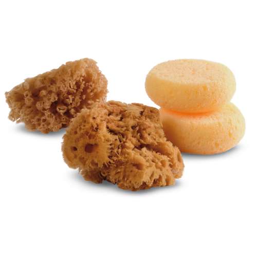 Royal & Langnickel Synthetik- und Naturschwämme, 4er-Set 