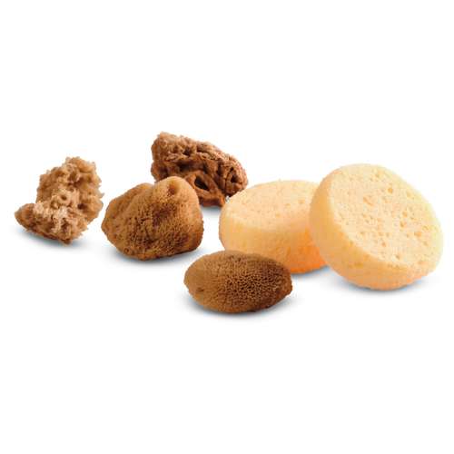 Royal & Langnickel Aquarell-Schwämme, 6er-Set 