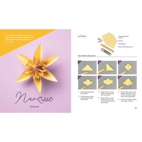 morepic-4