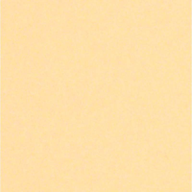 Künstlerpapier LANA Colours, 50 cm x 65 cm, Bogen, Creme