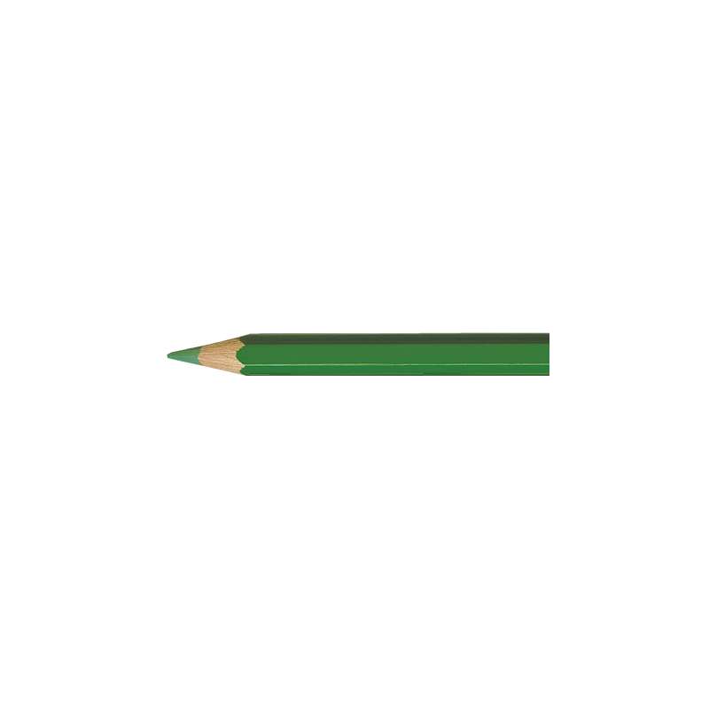 CARAN D'ACHE PABLO wasserfeste Künstlerfarbstifte, einzeln, Einzelstift, Grasgrün