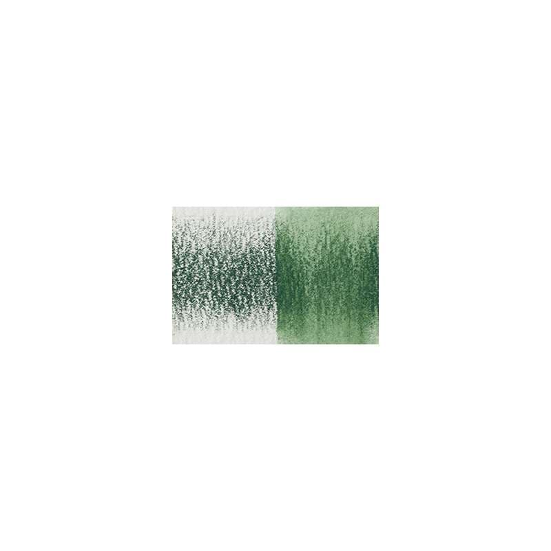 DERWENT INKTENSE Aquarellstift auf Tintenbasis, Aquarellstift, Beech Green / 1510