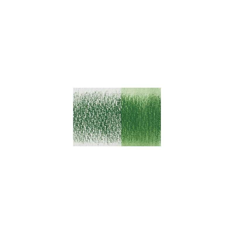 DERWENT INKTENSE Aquarellstift auf Tintenbasis, Aquarellstift, Hookers Green / 1520