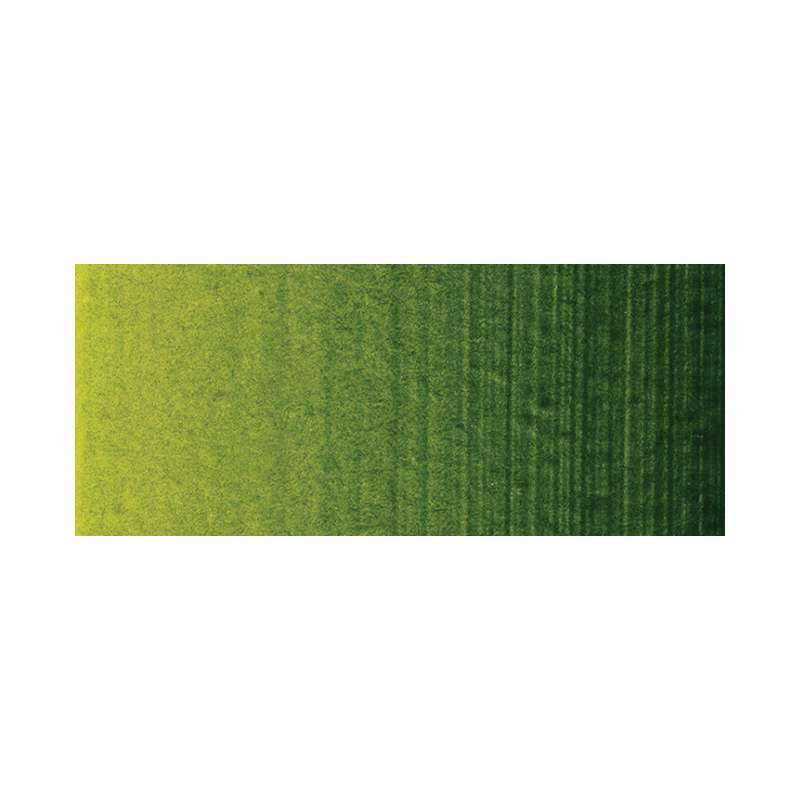 WINSOR & NEWTON Professional ACRYLIC Acrylfarbe, einzeln, 200-ml-Tuben, Permanentes Saftgrün