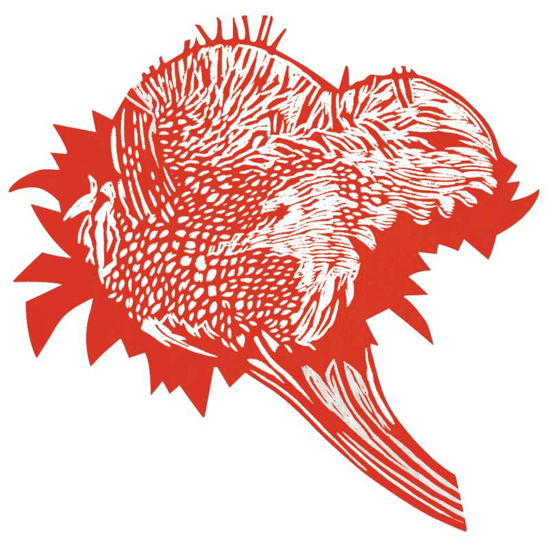 GERSTAECKER Aqua-Linoldruckfarbe, 500 ml Flasche, Zinnoberrot