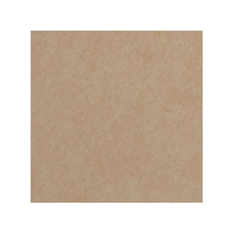 Clairefontaine Fotokarton Maya, 25er Packung, DIN A4, Braun