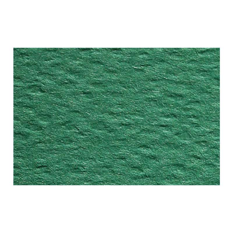 Clairefontaine ETIVAL COLOR Zeichenpapier, Einzelbogen, DIN A3 - 25 Blatt, Dunkelgrün