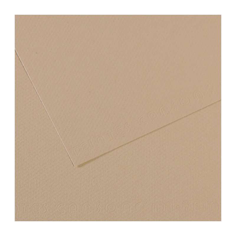 CANSON Mi-Teintes Farbiges Künstlerpapier, 50 cm x 65 cm, Hellgrau