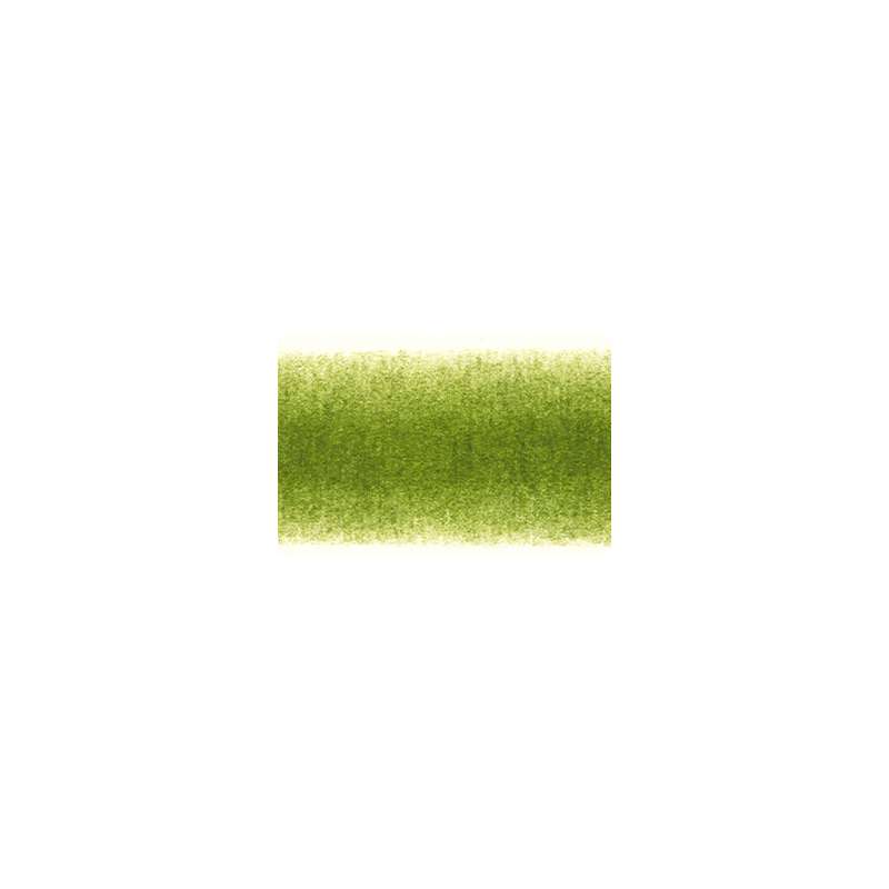 DERWENT Procolour Farbstifte, Farbstift, Moss Green 50