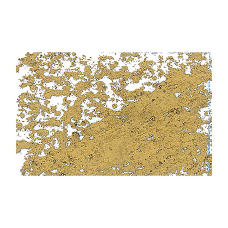 JAXON 1000 Ölpastellkreiden, Einzelkreiden, Einzelkreiden d 18 mm, Gold