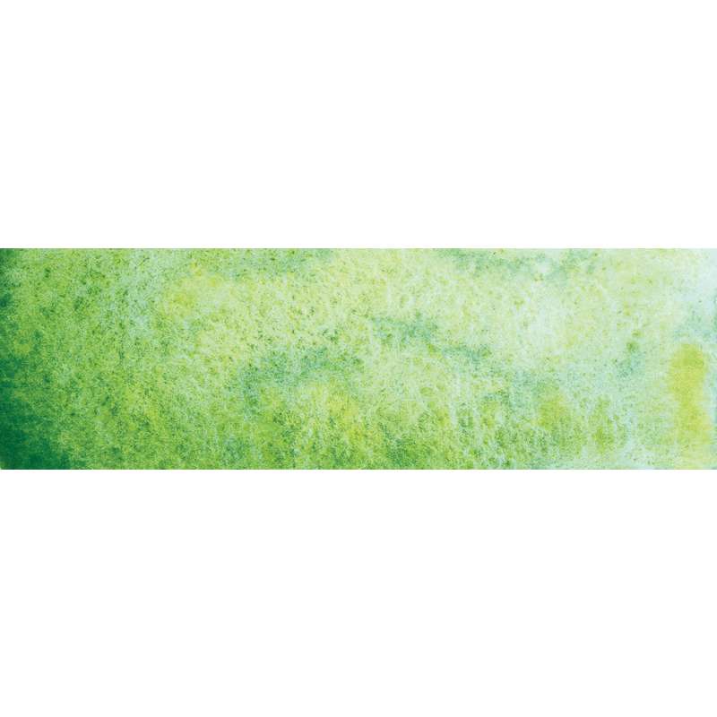 SCHMINCKE HORADAM AQUARELL SUPER GRANULATION, 15 ml, Auen Grün