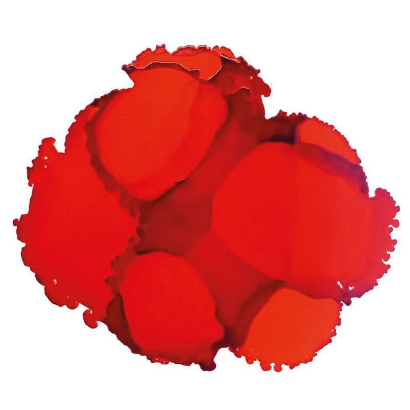 JACQUARD Pinata Color Alkoholtinte, 15 ml, CALABAZA ORANGE
